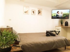 Beau-Mellaise-Coeur de Niort-calme-Wifi-Netflix